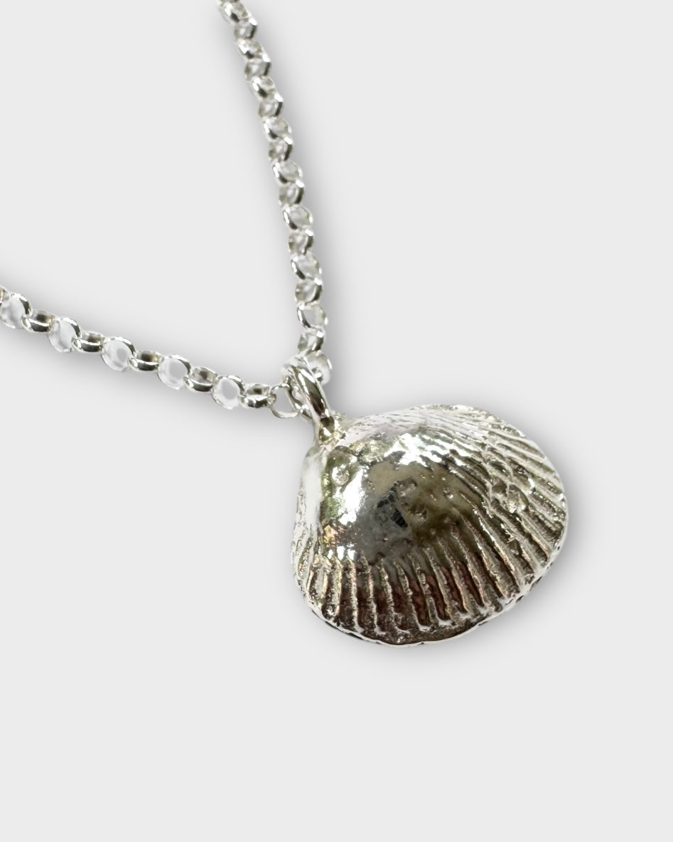 Sea Shell Necklace
