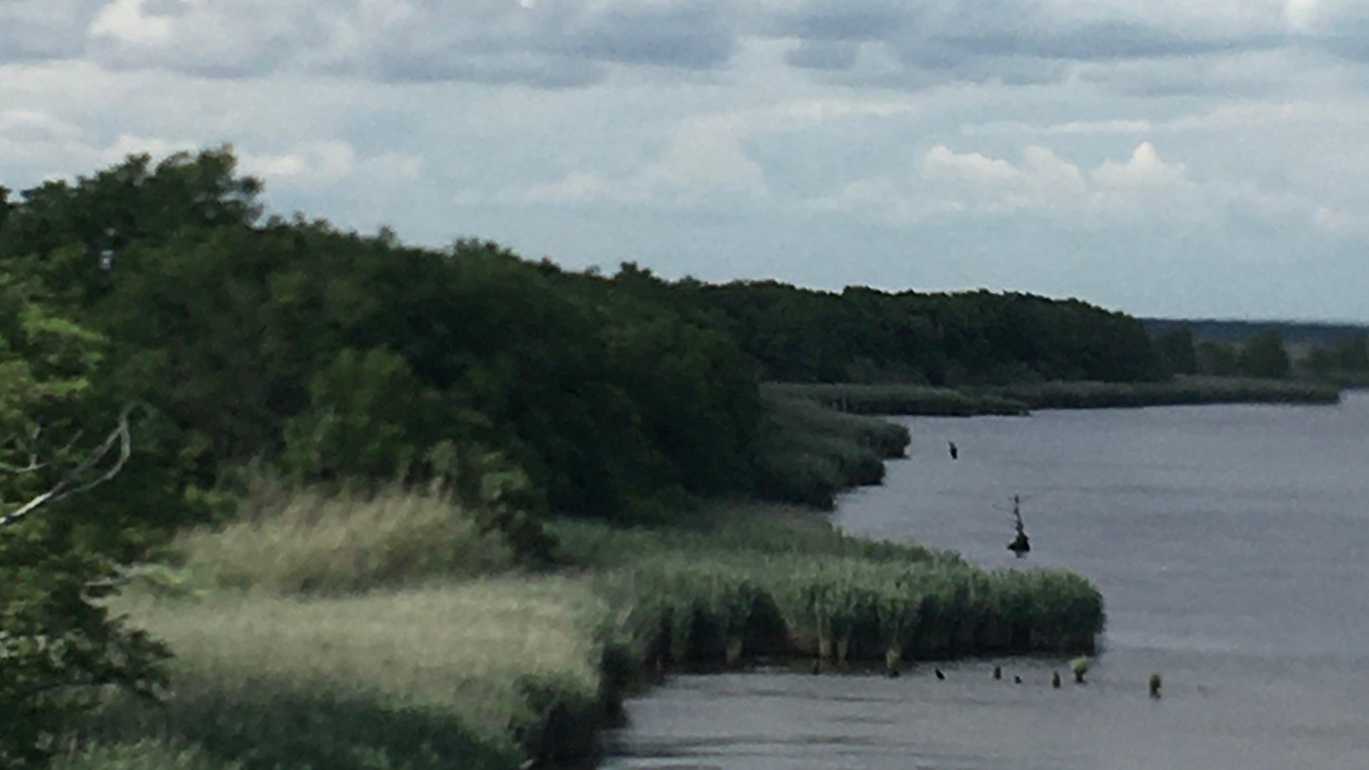 Rugged coastal marsh scene evoking the natural world inspiration behind Amanda Hufford Studio jewelry